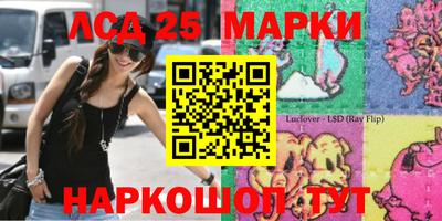 мдпв Кингисепп