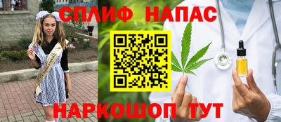 мдпв Кингисепп