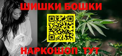 мдпв Кингисепп
