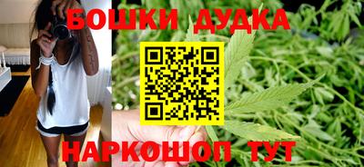 мдпв Кингисепп