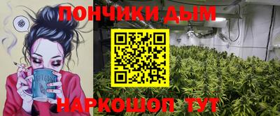 мдпв Кингисепп