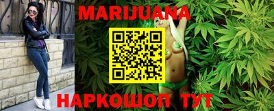 мдпв Кингисепп