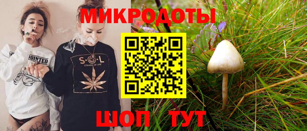 Псилоцибиновые грибы GOLDEN TEACHER Волхов